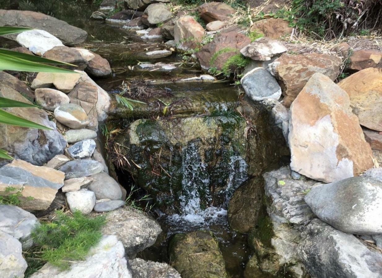 Jardines De Las Golondrinas Marbella Bagian luar foto